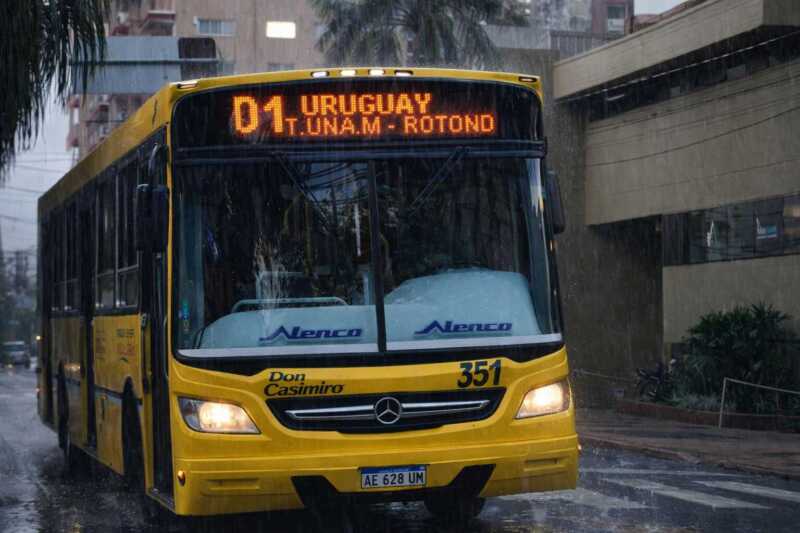 lluvia colectivo