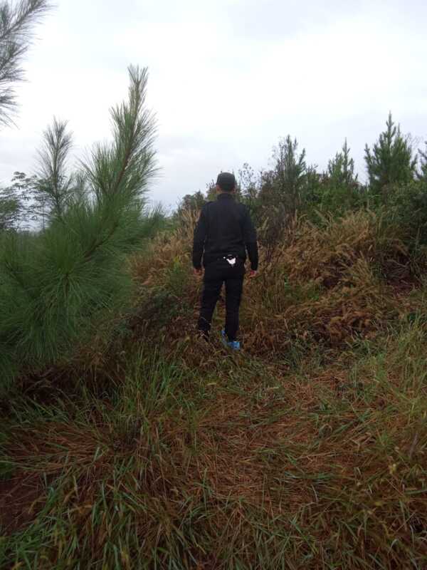 san ignacio cuerpo 2