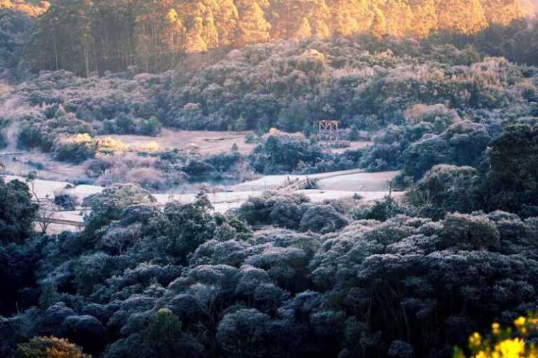 heladas-en-misiones