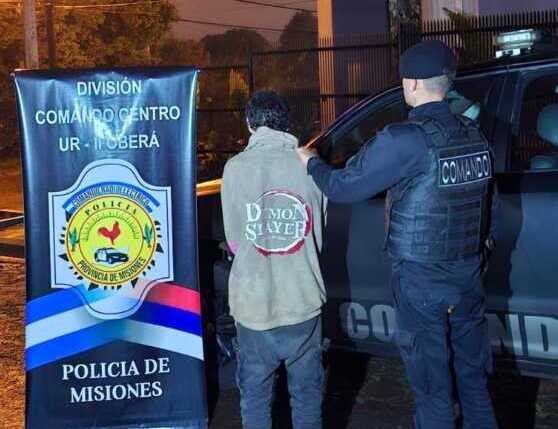 hermano ladrón