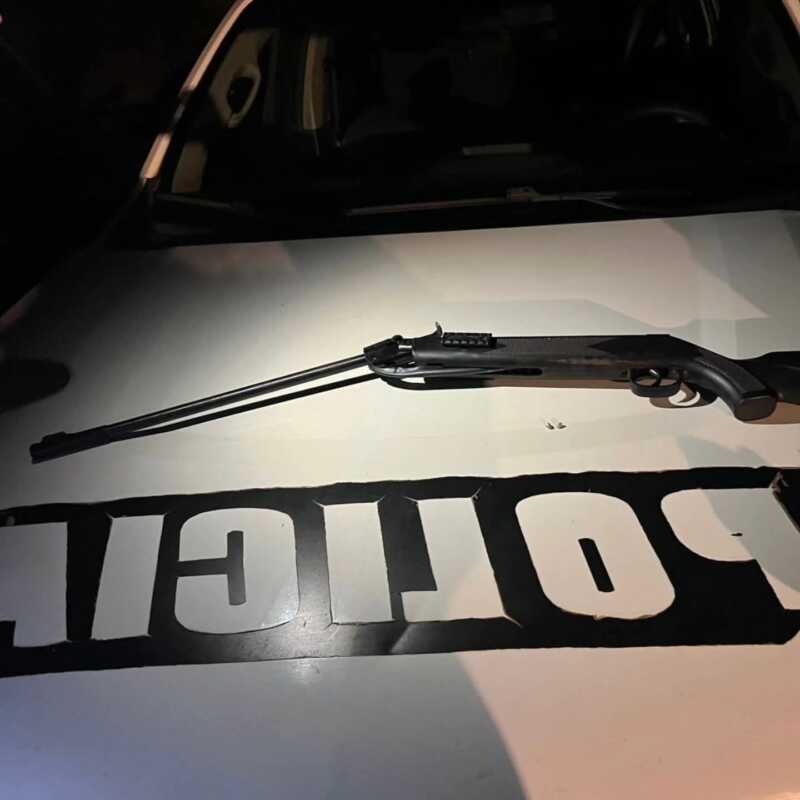 Candelaria: denunció que su vecino mató a su perro y la Policía secuestró un rifle 1 muerte perro cande 1