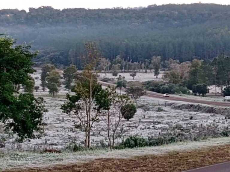Anticipan más heladas para este martes en Misiones: prevén mínimas de hasta 3°C en varias localidades
