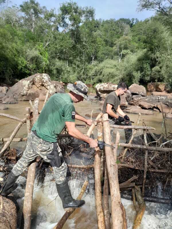 pesca 3