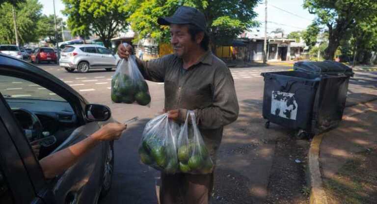 venta paltas