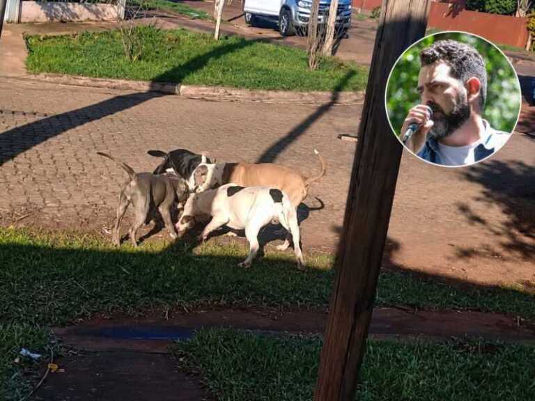 ataque perros arganaraz