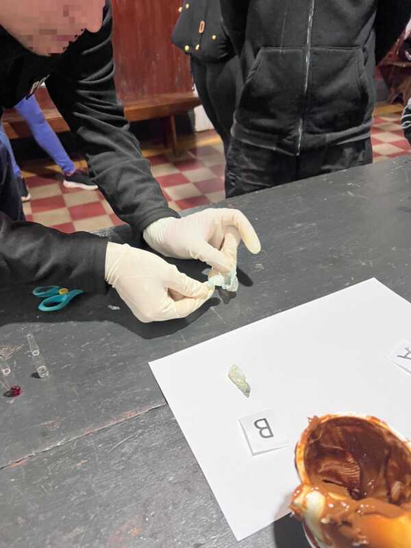 cocaina en pote 3