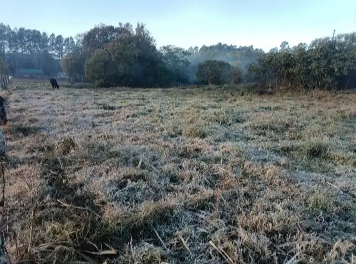heladas
