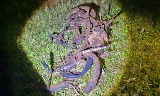motociclista fallecido (1)