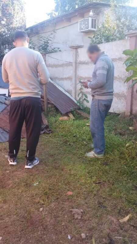 perros 12
