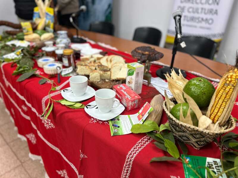 Fiesta Colonial 1
