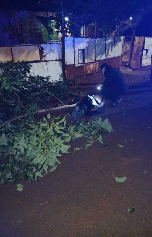 Intentó robar paltas pero cayó del árbol y terminó con graves lesiones: fue operado de urgencia en Posadas 1 ROBO DE PALTA 1