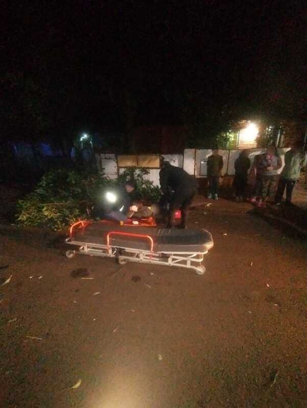 Intentó robar paltas pero cayó del árbol y terminó con graves lesiones: fue operado de urgencia en Posadas 3 ROBO DE PALTA 3