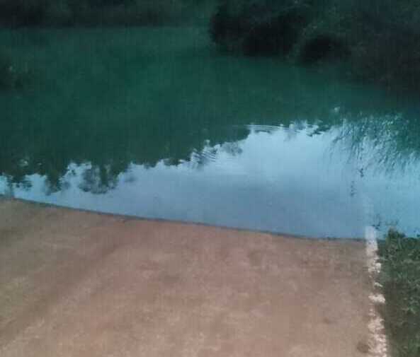 saltos