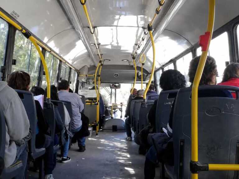 colectivos