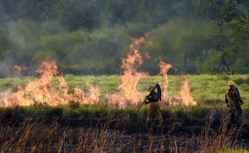 incendios-forestales-misiones-3@2x