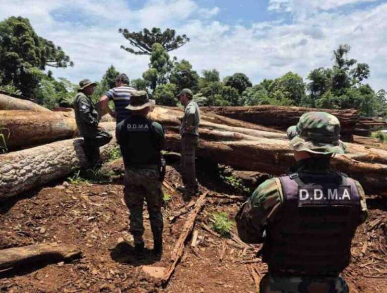 misiones registro condena ambientales 2 1 1024x775 1