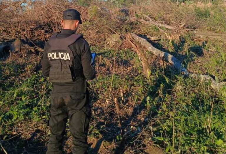 Falleció un trabajador rural al ser aplastado por un árbol mientras realizaba tareas de poda en El Soberbio