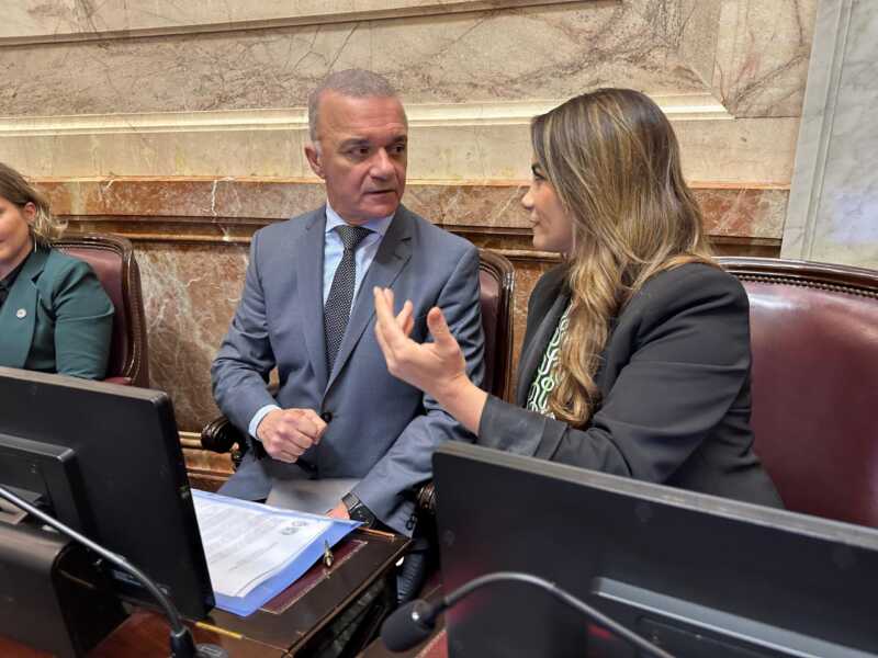 senado-arce-decut-scaled