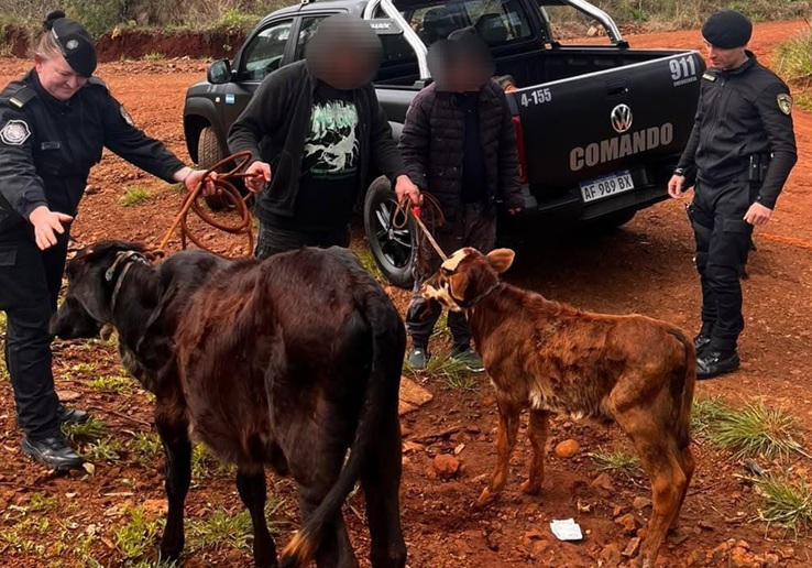 animalesrecuperados
