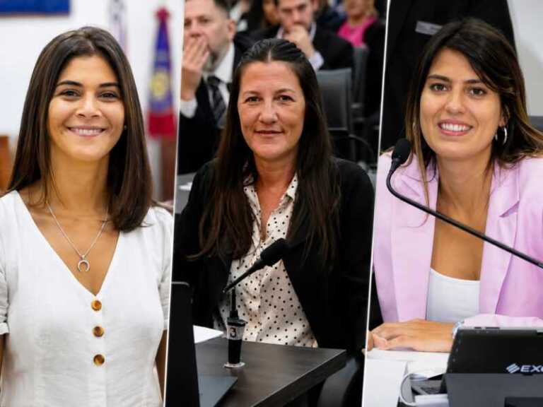 Encuentro Misionero se quedó sin concejales en Posadas: Mazal, Traid y Almirón armaron un nuevo bloque