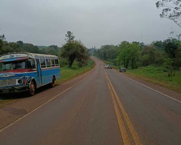 colectivo