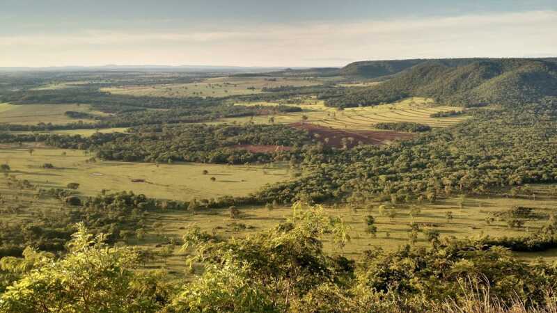 ley de tierras