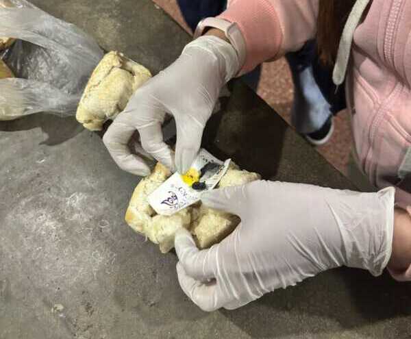 marihuana en pan (3)