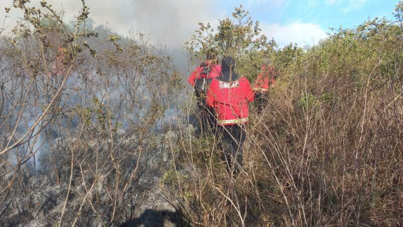 Bomberos extinguieron el incendio en Campo San Juan tras más de 17 horas de trabajo y 134 hectáreas afectadas 2 BOMBEROS 3
