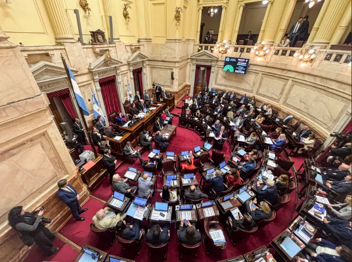 Senadores cobrarán más de $13 millones mientras el salario mínimo no cubre la canasta básica