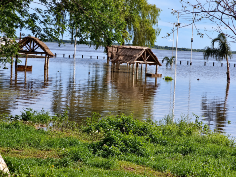 Inundacion entre arboles y estructuras