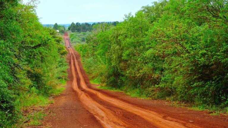 Misiones sigue figurando entre las provincias con más tierras en manos extranjeras del país