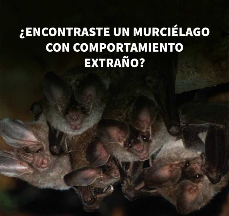 WhatsApp Image 2026 10 29 at 09.32.07