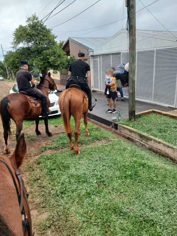caballos policias 3