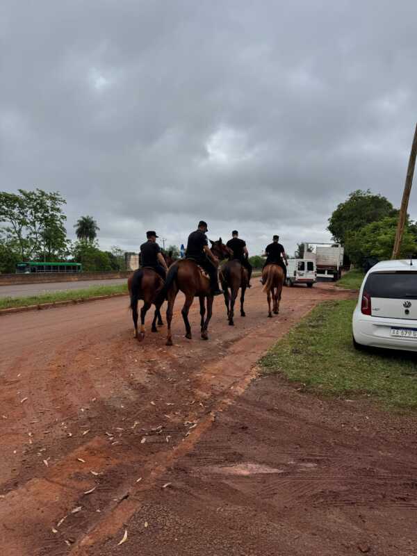 caballos policias 4