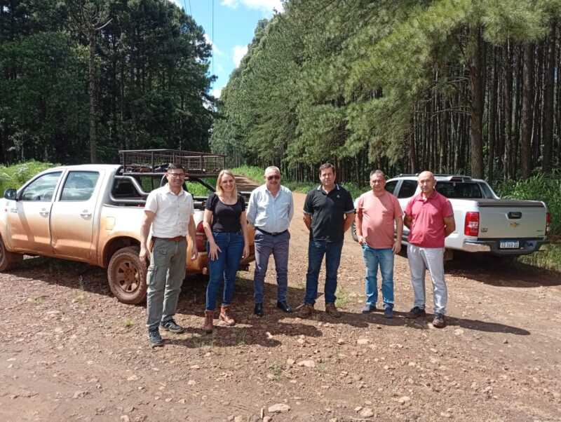camino anlternativo