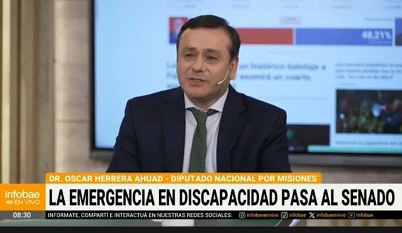 Herrera Ahuad: “La ley de Discapacidad es un logro de las personas con discapacidad, no de la política” 1 herrera en infobae