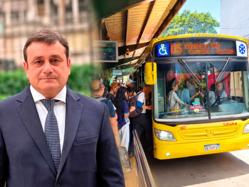 herrera tema colectivos