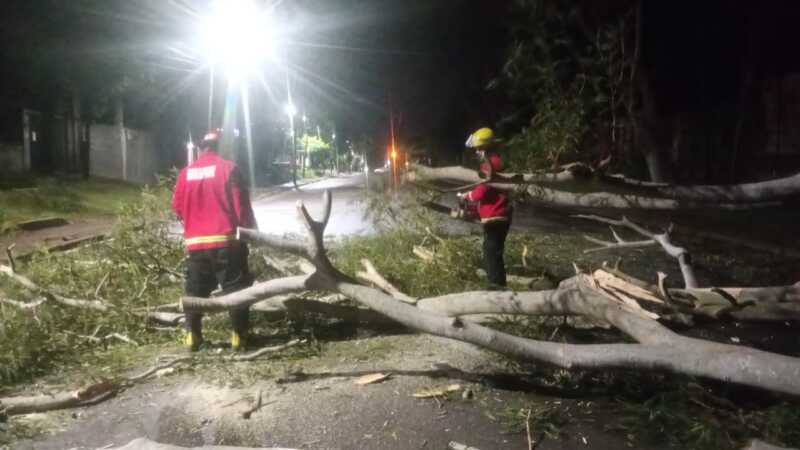 misiones temporal 3
