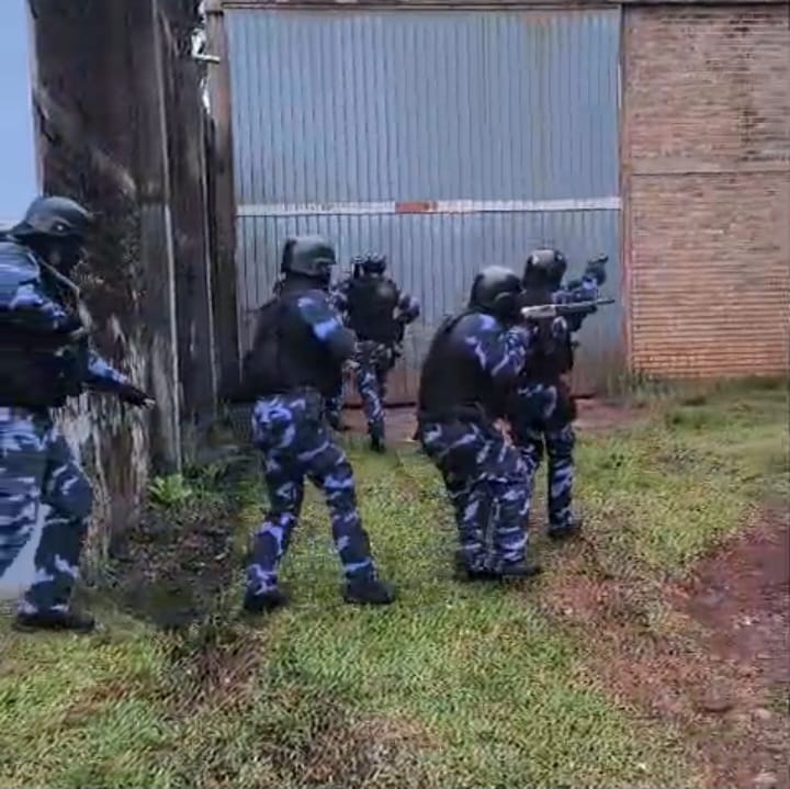 Un camión interceptado en Apóstoles permitió llegar hasta una estructura narco con ramificaciones en Buenos Aires 2 narcotrafico 7